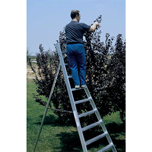 Foto Escaleras Plabell para la poda y recogida de fruta.